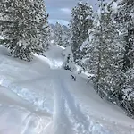Gasthof Backeralm * Bayrischzell