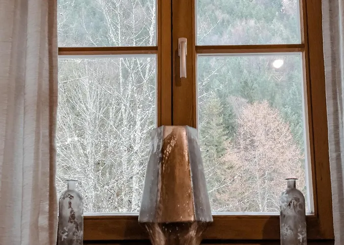Hotel Gasthof Backeralm